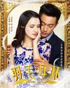 羽毛耳环电视剧,穿越时空的爱恋