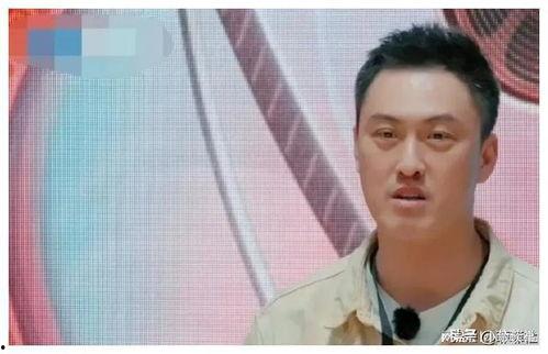 娱乐圈吃瓜爆料钱小豪,揭秘幕后真相与惊人内幕